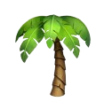 Palm Tree Icon