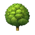 Tree Icon