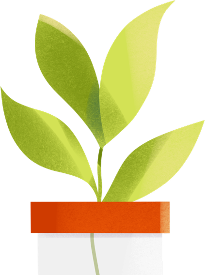 Small Potted Plant