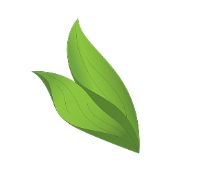 Decorative Leaf
